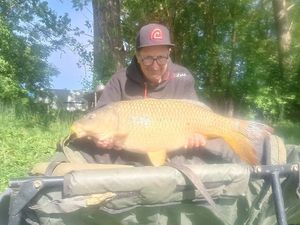 Common Carp