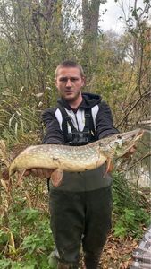 Northern Pike