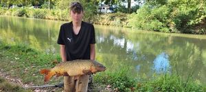 Common Carp