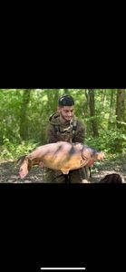 Mirror Carp