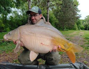 Mirror Carp