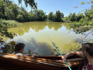 Grass Carp