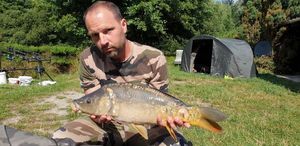 Mirror Carp