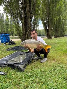 Mirror Carp