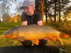 Common Carp