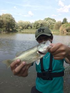 Smallmouth Bass