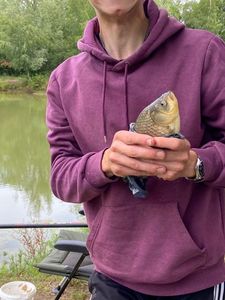 Tench
