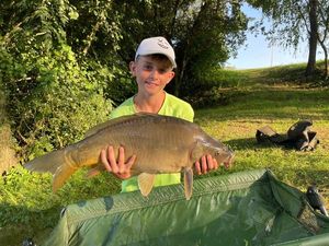 Common Carp