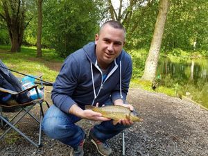 Common Carp