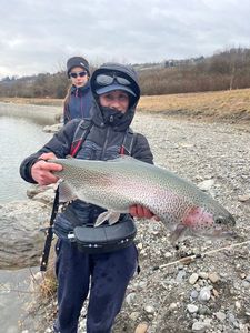 Rainbow Trout