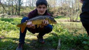 Mirror Carp
