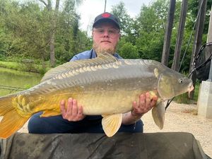 Mirror Carp