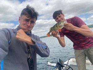 European Perch