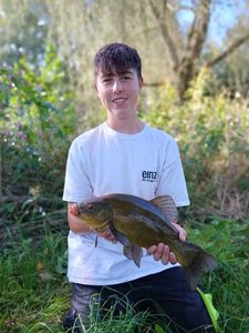 Tench