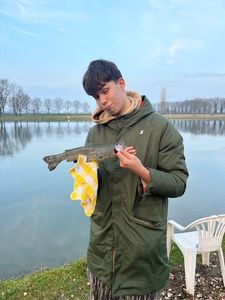 Rainbow Trout