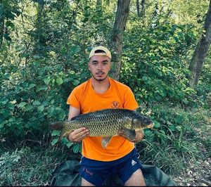 Common Carp