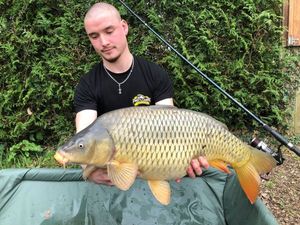 Common Carp