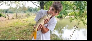 Common Carp