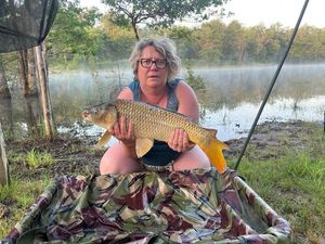 Common Carp