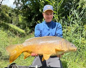 Mirror Carp