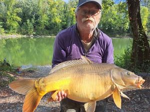 Mirror Carp