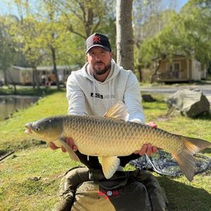 Grass Carp