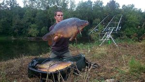 Mirror Carp