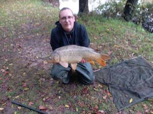 Common Carp