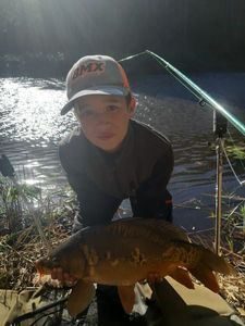 Mirror Carp