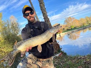 Northern Pike