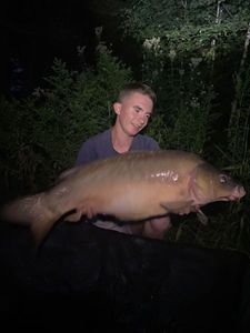 Mirror Carp