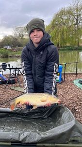 Common Carp