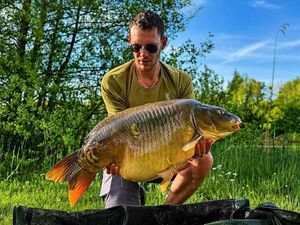 Mirror Carp
