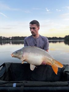 Leather Carp