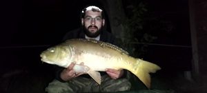 Mirror Carp