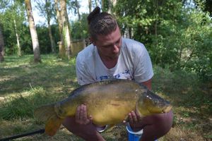 Mirror Carp