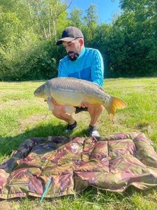 Mirror Carp