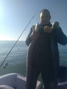 Conger
