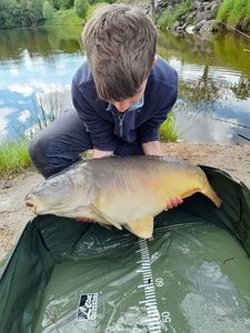 Mirror Carp