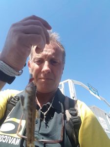 Giant Goby