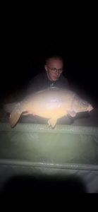 Mirror Carp