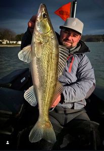 Zander