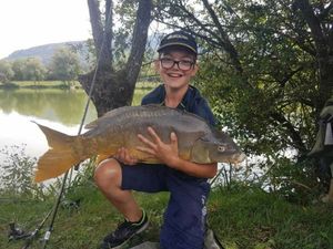 Mirror Carp