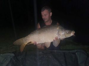 Mirror Carp