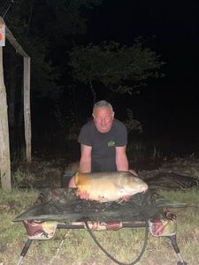 Mirror Carp