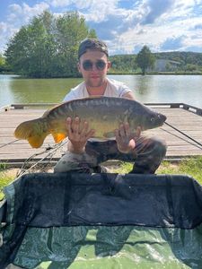 Mirror Carp