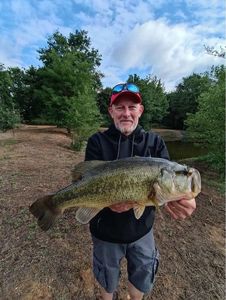 Largemouth Bass