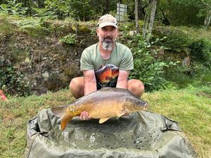Mirror Carp