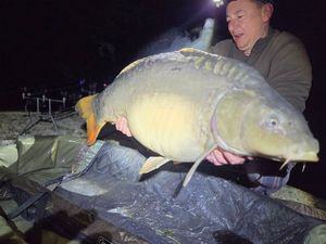 Mirror Carp