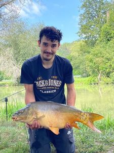 Mirror Carp